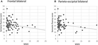 Effects of White Matter Hyperintensities on Verbal Fluency in Healthy Older Adults and MCI/AD